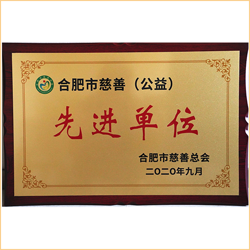 2020合肥慈善公益先進單位